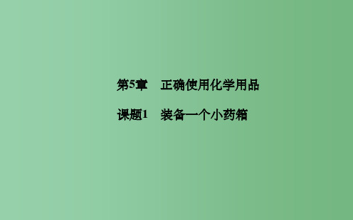 高中化学 第五章 课题1 装备一个小药箱 鲁科版选修1