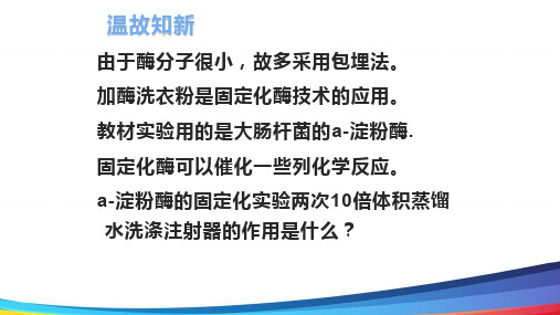 高中生物《实验果酒及果醋的制作》优质课精品PPT课件