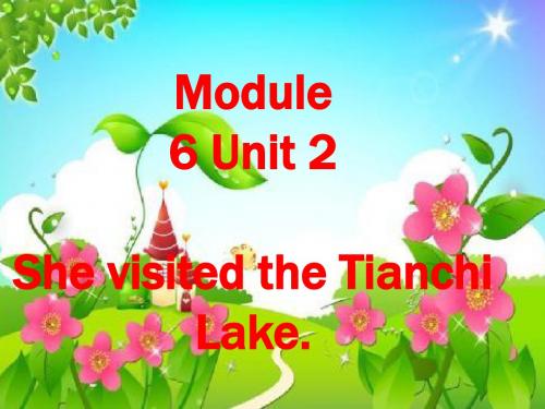 (外研版)最新新标准小学英语五年级下册课件Module 6 Unit 2 She visited the Tianchi Lake