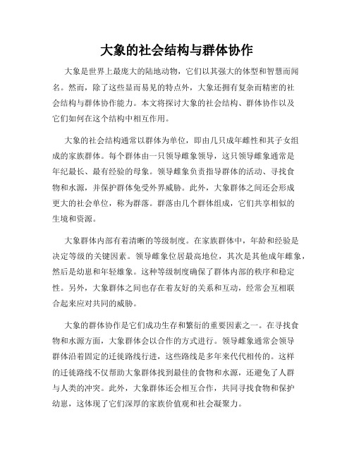 大象的社会结构与群体协作