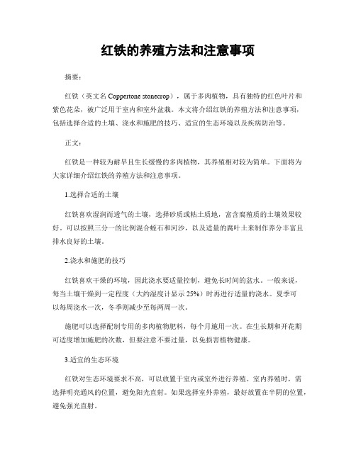 红铁的养殖方法和注意事项