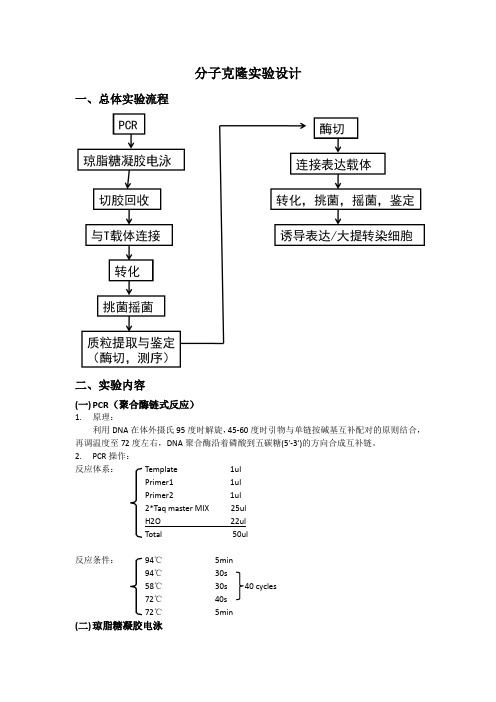 分子克隆实验