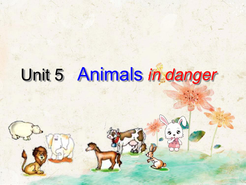 Join in六年级上册课件Unit5 Animals in danger