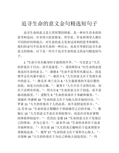 追寻生命的意义金句精选短句子