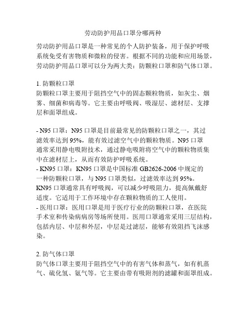 劳动防护用品口罩分哪两种