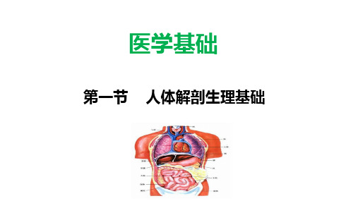 公共营养师课(医学基础)