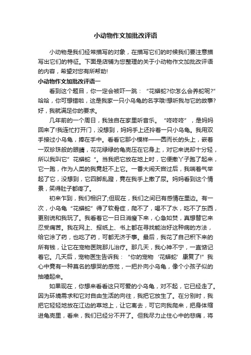 小动物作文加批改评语