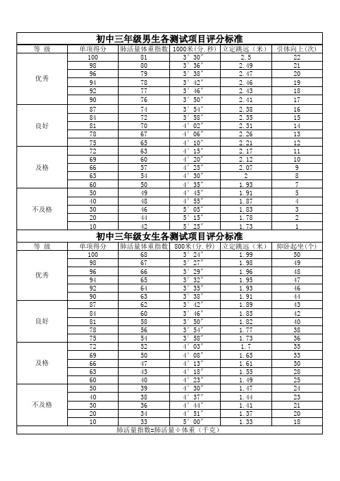 临沂中考体育评分标准