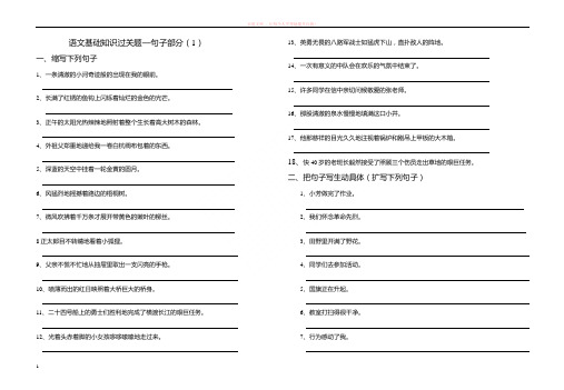 语文基础知识过关题—句子部分