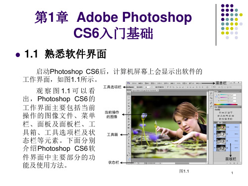 Photoshop CS6基础教程