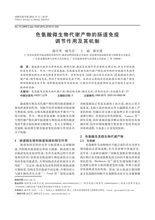 色氨酸微生物代谢产物的肠道免疫调节作用及其机制
