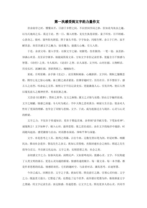 第一次感受到文字的力量作文