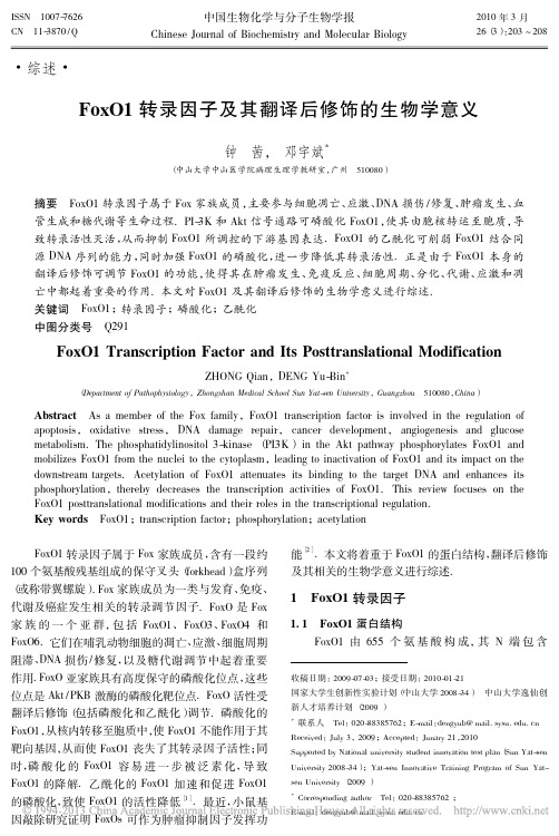 FoxO1转录因子及其翻译后修饰的生物学意义_钟茜