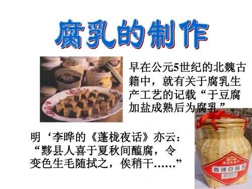 腐乳的制作