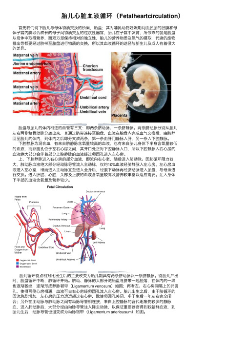 胎儿心脏血液循环（Fetalheartcirculation）