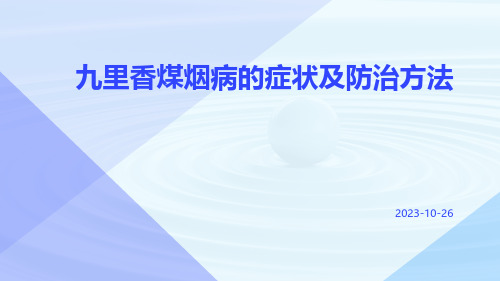 九里香煤烟病的症状及防治方法