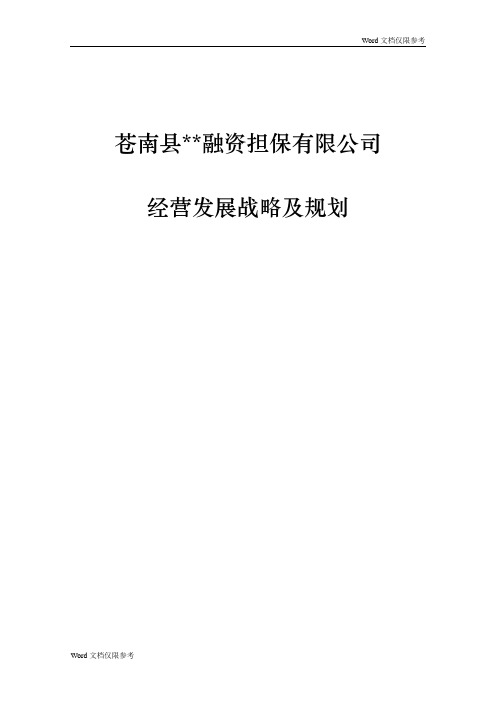 融资担保有限公司经营发展战略及规划