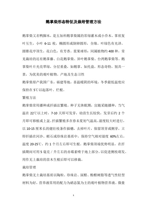 鹅掌柴形态特征及栽培管理方法