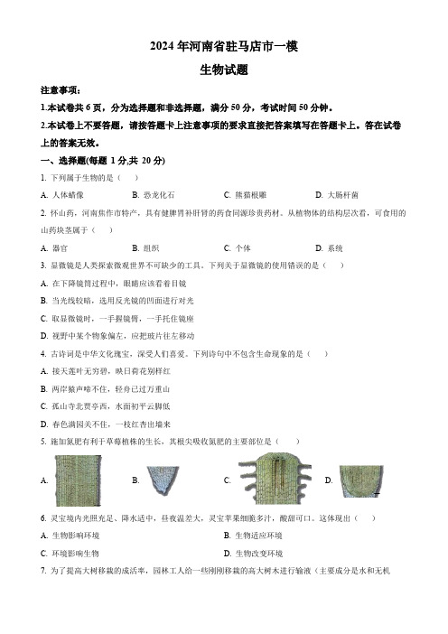 精品解析：2024年河南省驻马店市中考一模生物试题(原卷版)