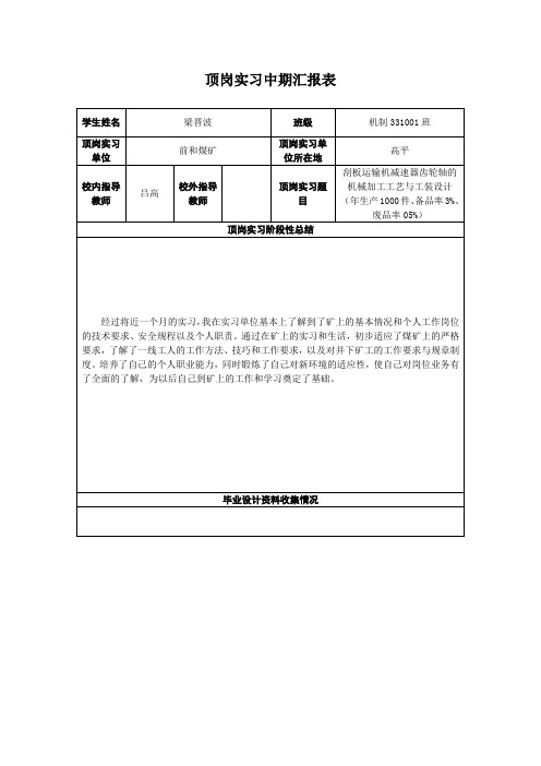 顶岗实习中期汇报表