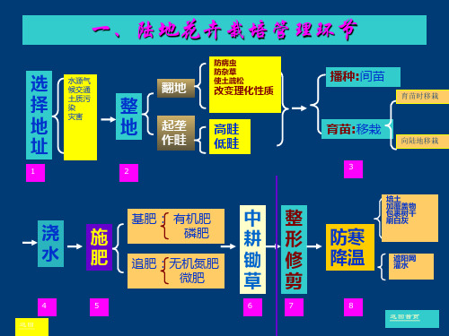 花卉栽培管理