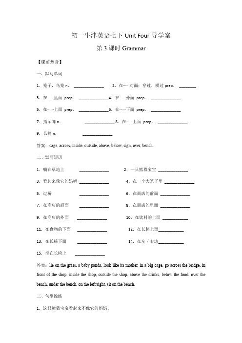 4-3 Grammar -七年级英语下册同步精品导学案