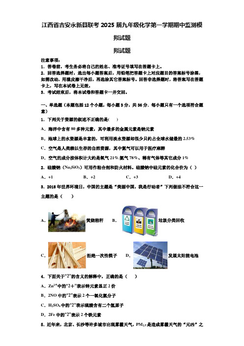 江西省吉安永新县联考2025届九年级化学第一学期期中监测模拟试题含解析