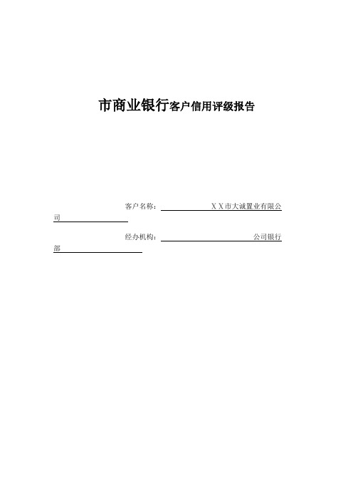 市商业银行客户信用评级报告