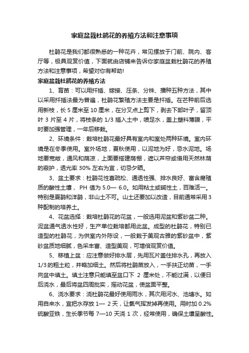 家庭盆栽杜鹃花的养殖方法和注意事项