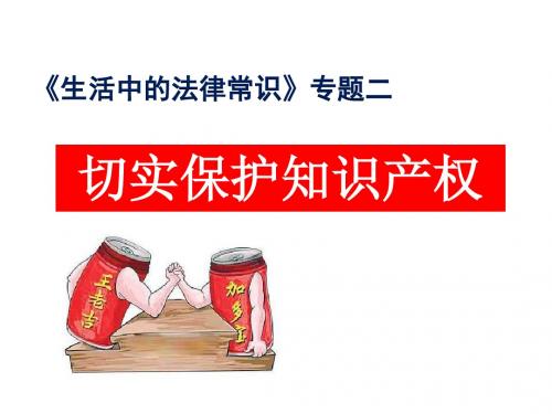 高一政治人教版  选修五  专题二  4、切实保护知识产权   名师公开课省级获奖课件(23张)