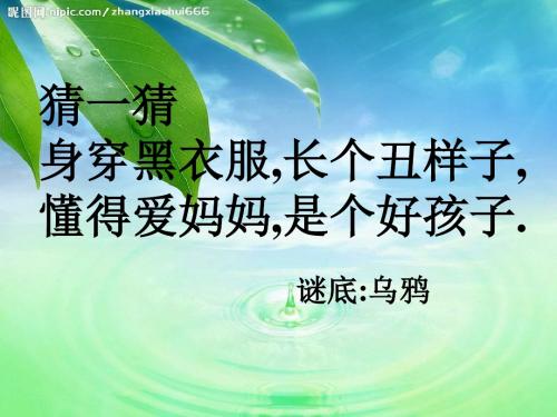 一年级语文下册《乌鸦喝水》PPT课件[1]16页PPT