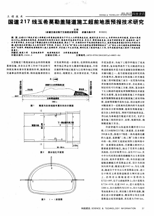 国道217线玉希莫勒盖隧道施工超前地质预报技术研究