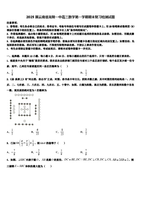 2025届云南省龙陵一中高三数学第一学期期末复习检测试题含解析