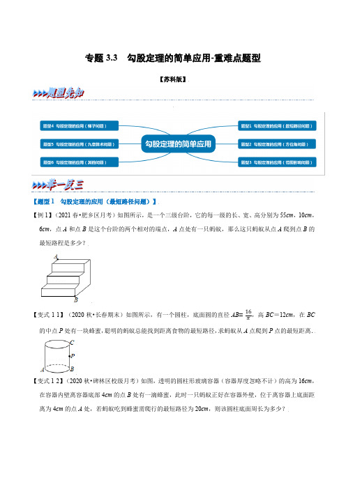 专题3-3 勾股定理的简单应用-重难点题型(举一反三)(苏科版)(原卷版)