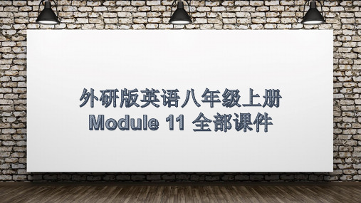 外研版英语八年级上册Module 11 全部课件