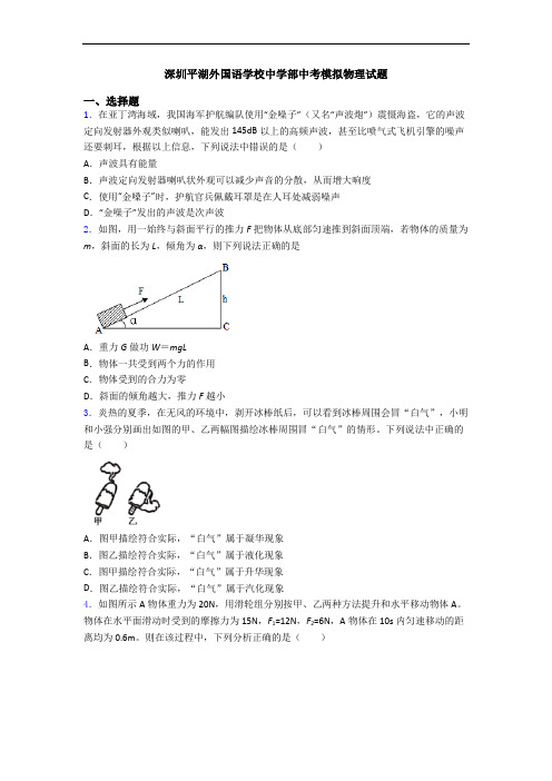 深圳平湖外国语学校中学部中考模拟物理试题