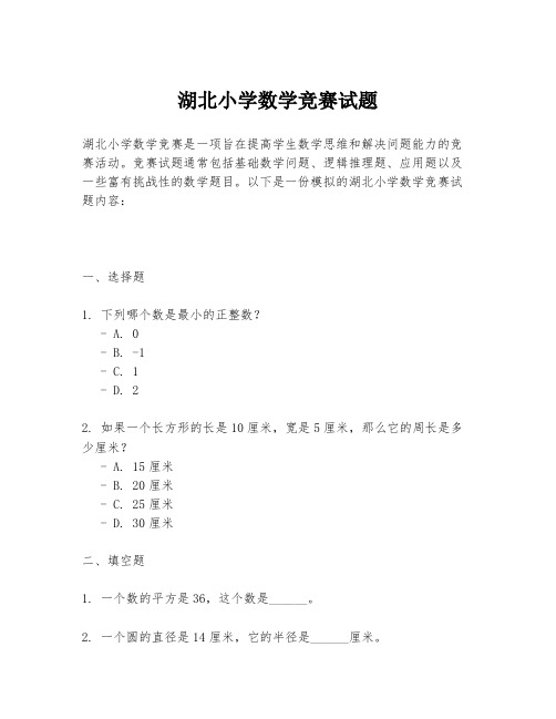 湖北小学数学竞赛试题