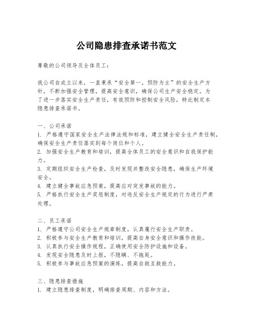 公司隐患排查承诺书范文