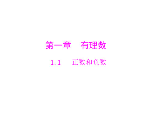 数学：1.1《正数和负数》课件(人教版七年级上)