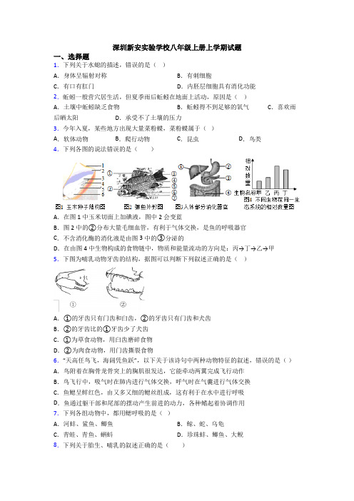 深圳新安实验学校八年级上册上学期试题