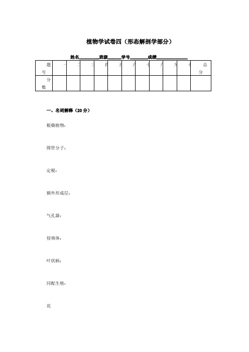 植物学试卷之四(形态解剖学部分)