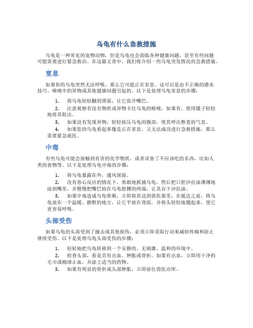 乌龟有什么急救措施