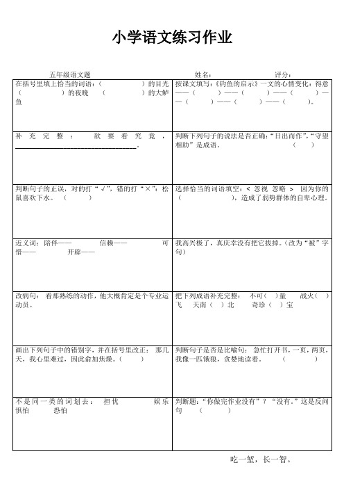 小学五年级语文精作细练III (43)