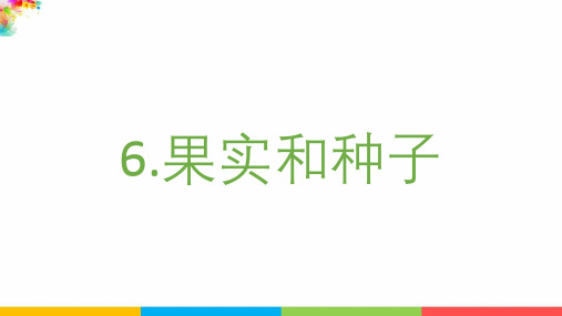 2021年新版最新教科版科学四年级下册《果实和种子》精品课件