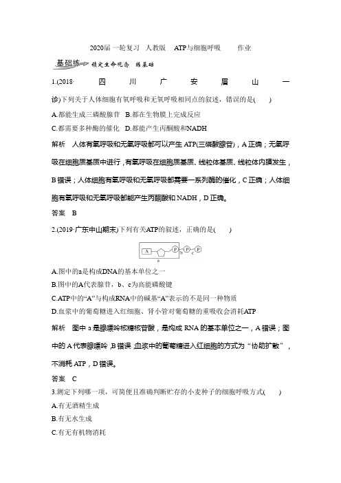 2020年高考 一轮复习 人教版 ATP与细胞呼吸 作业.doc