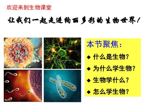 高一生物开学第一课