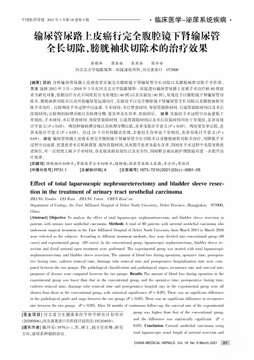 输尿管尿路上皮癌行完全腹腔镜下肾输尿管全长切除、膀胱袖状切除术的治疗效果