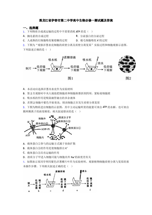 黑龙江省伊春市第二中学高中生物必修一测试题及答案