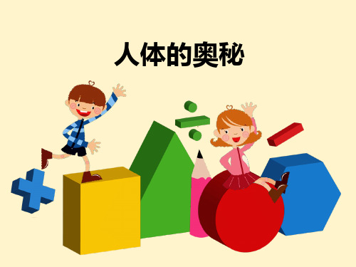 人体奥秘