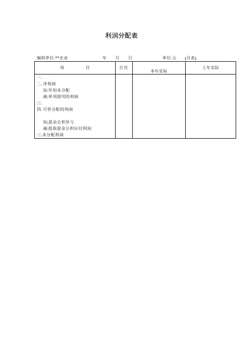 利润分配表